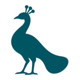Coronado peacock mascot
